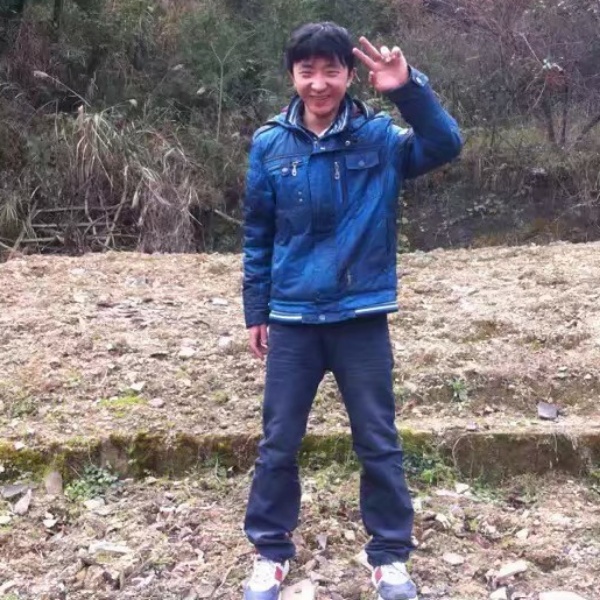孤單停止蚂蚁的照片