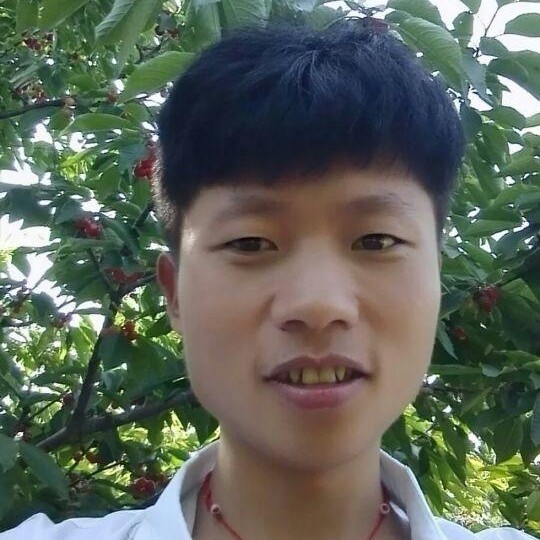 防窥膜的照片