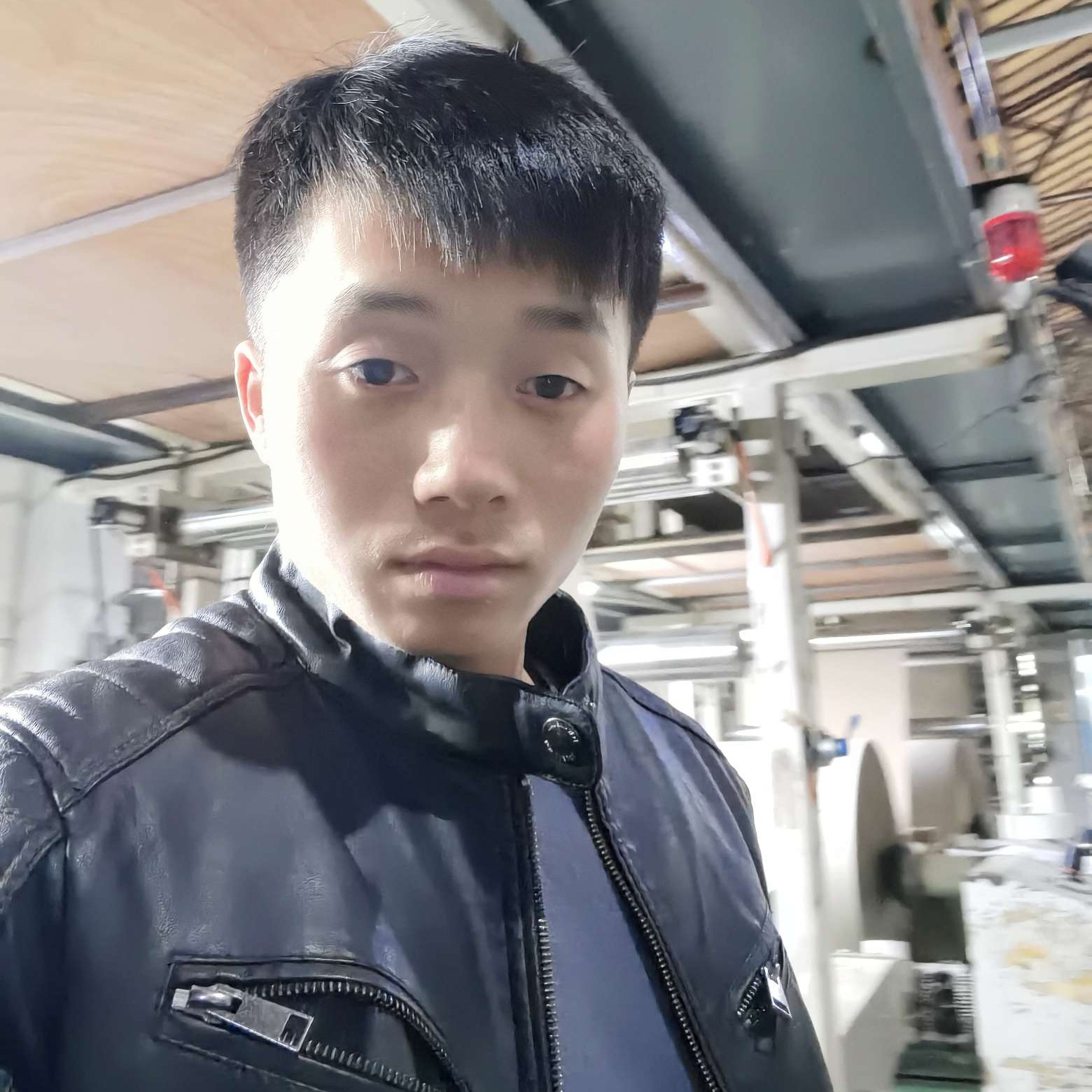 芹菜浅吻潇洒的照片