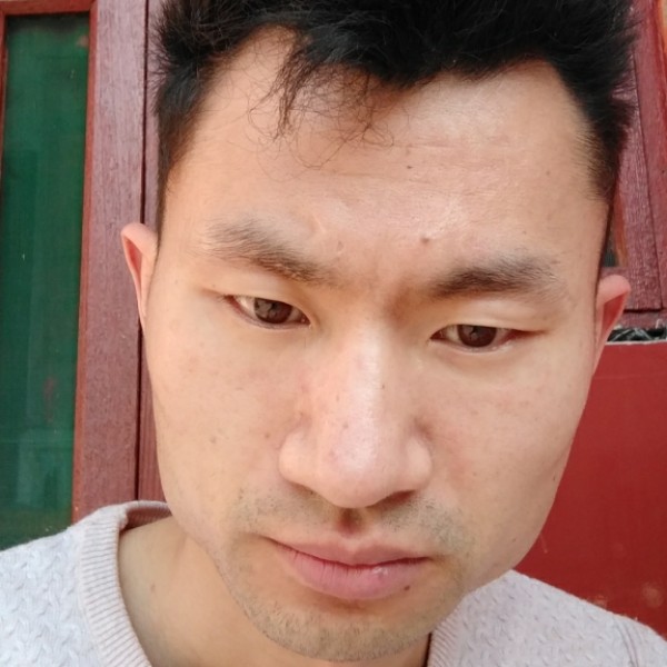 一个港湾的照片