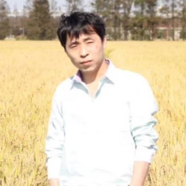 》往事清零的照片