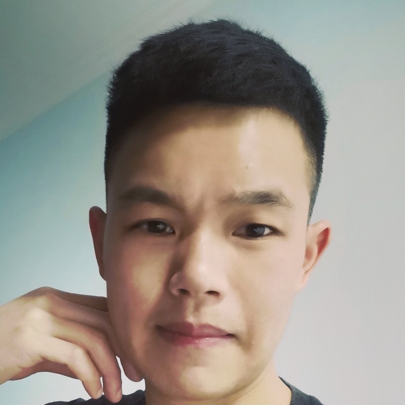 动人的大炮的照片