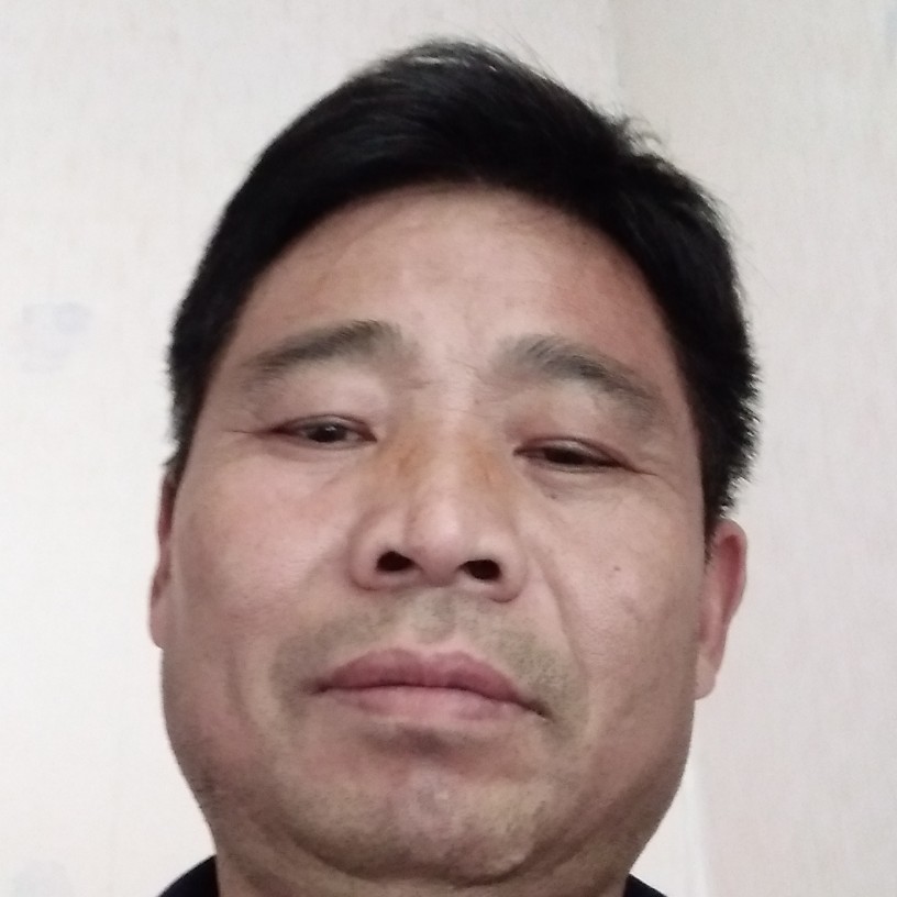 顺利蹁跹季节的照片
