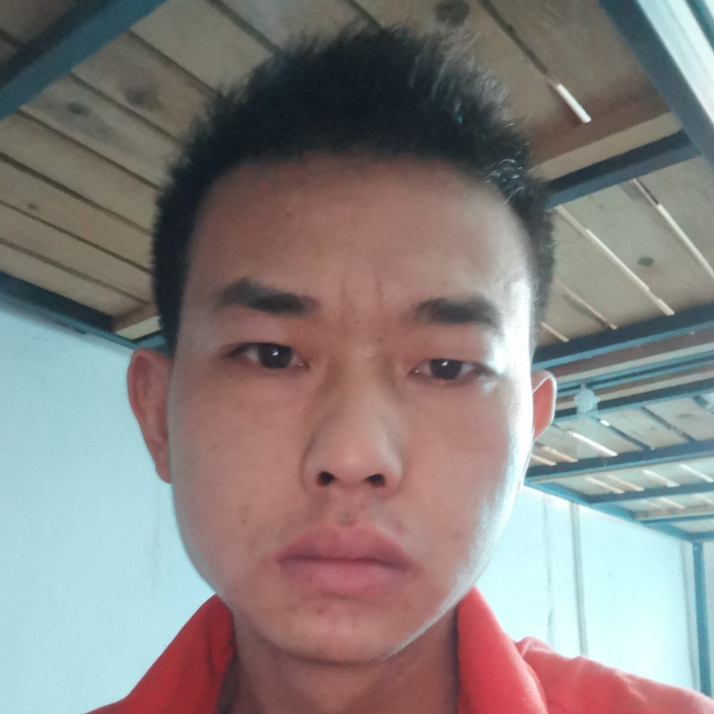 小鸭子疯狂的照片