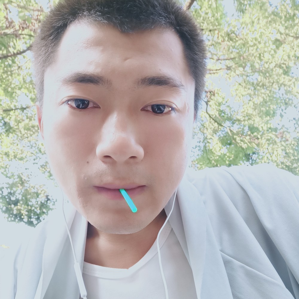 龙猫自觉的照片