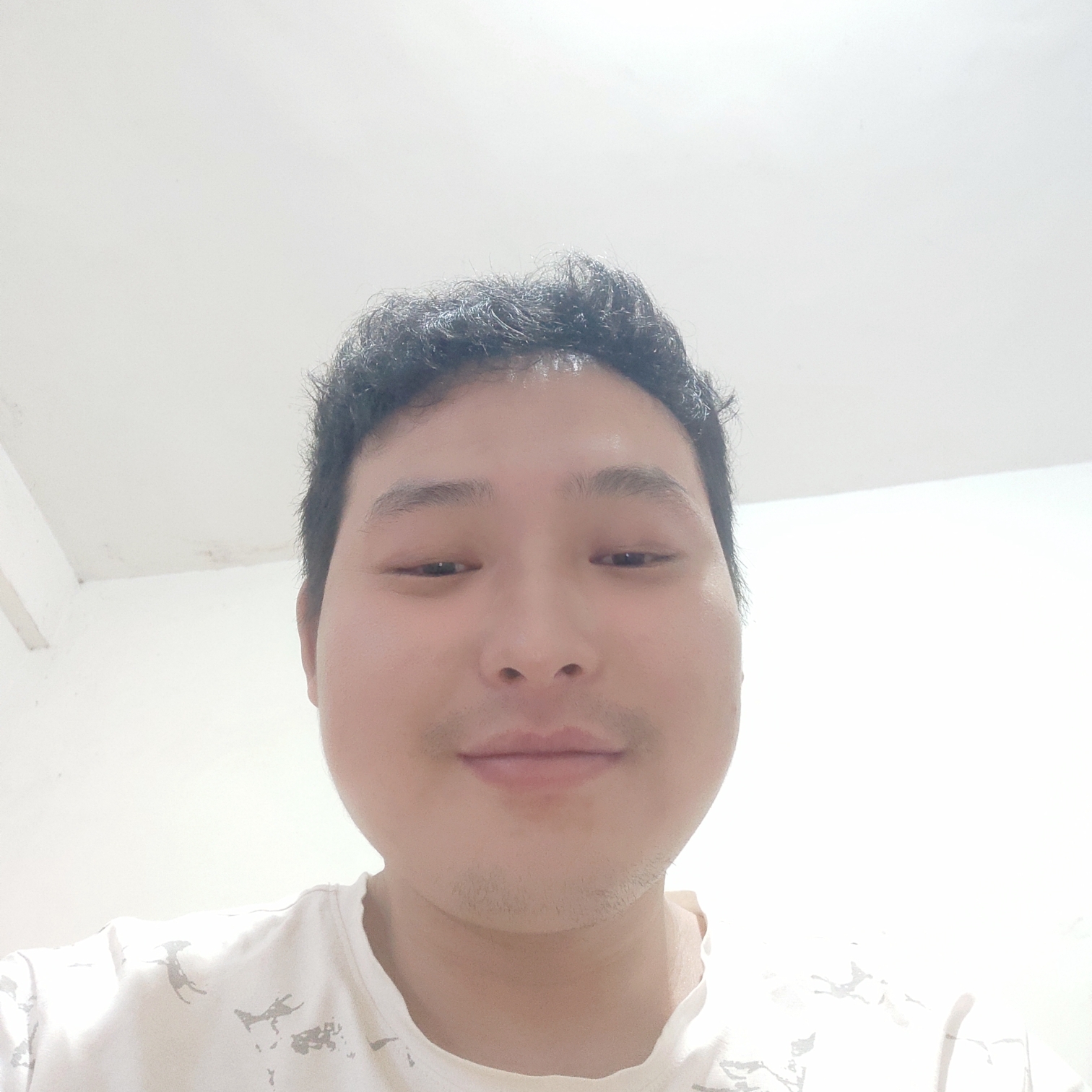 猫咪称心852的照片
