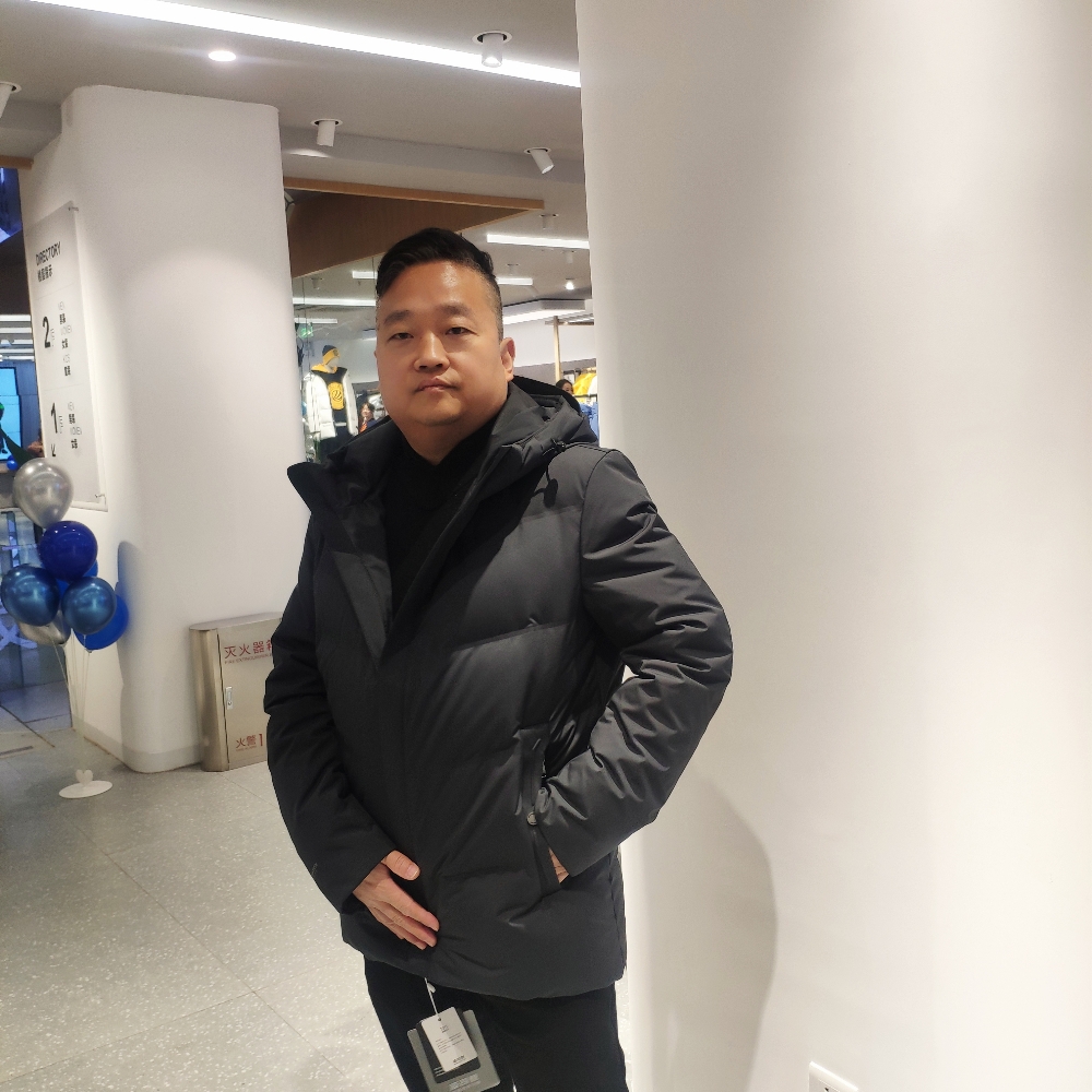 乌龟阳光的照片