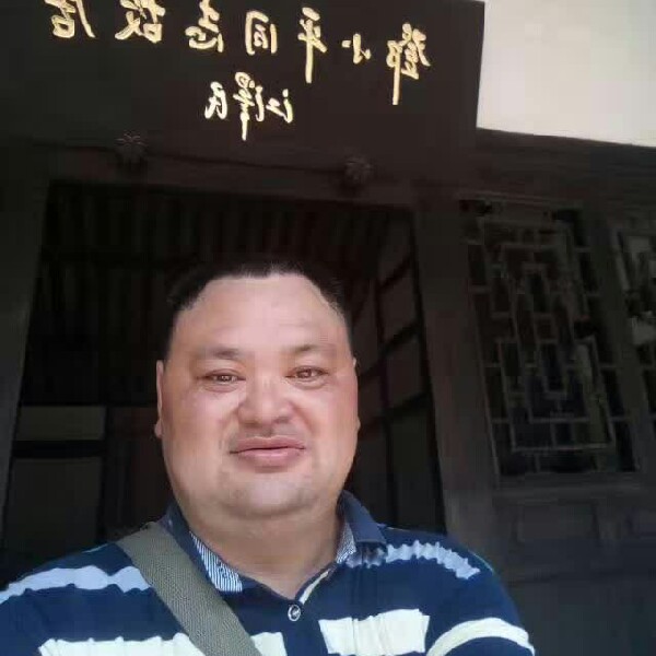 长情蜻蜓的照片