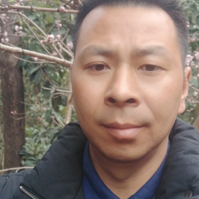 忧心说飞机的照片