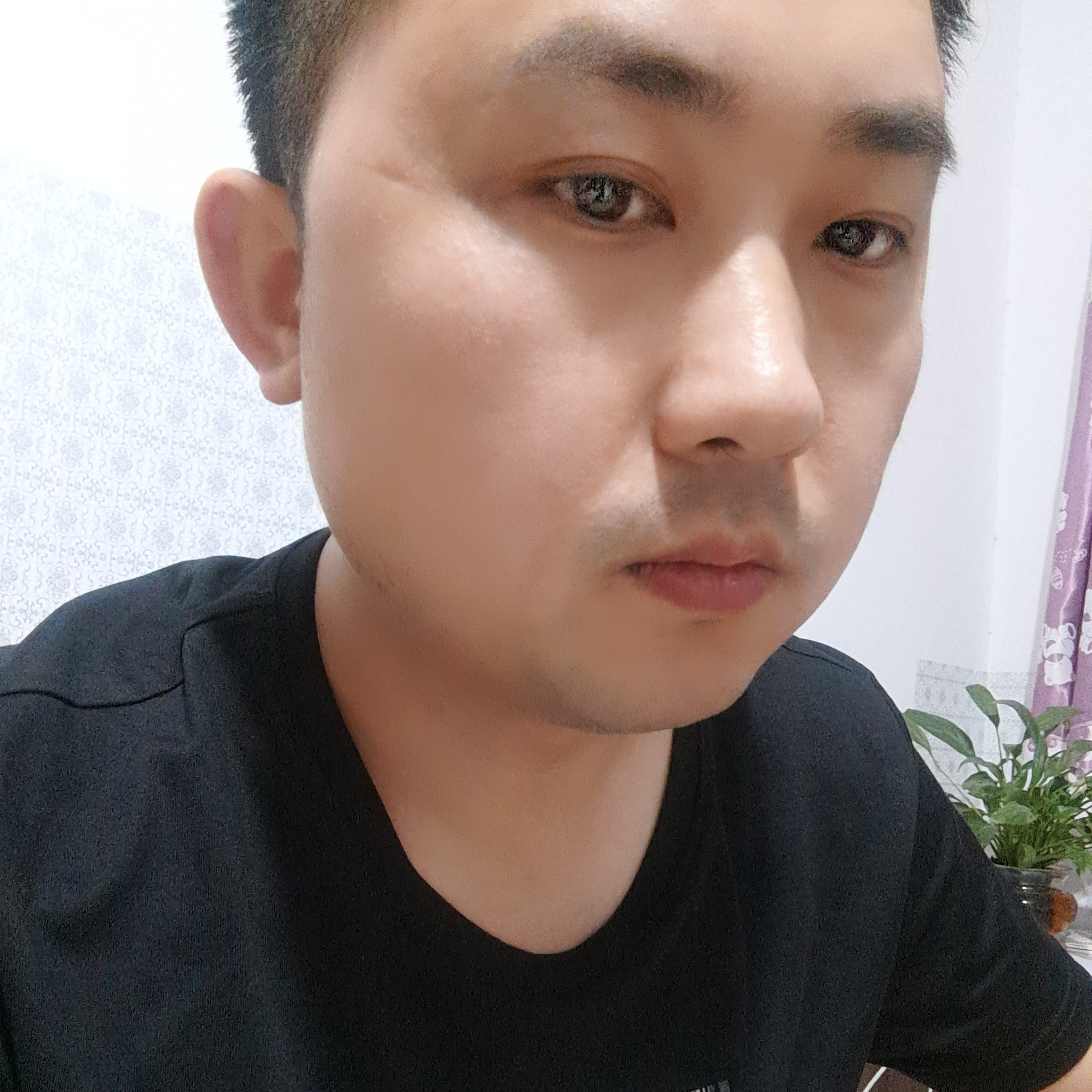 爱老虎的照片