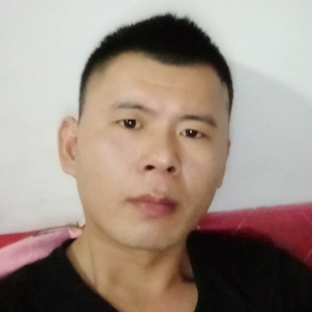 坚定胡萝卜的照片
