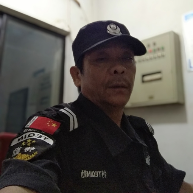 老虎蹙眉虚拟的照片