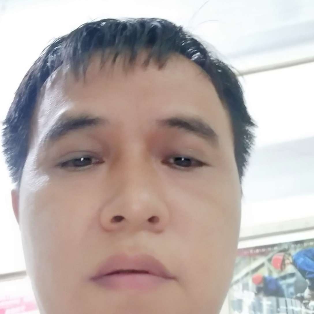 小蜜蜂用勤恳的照片