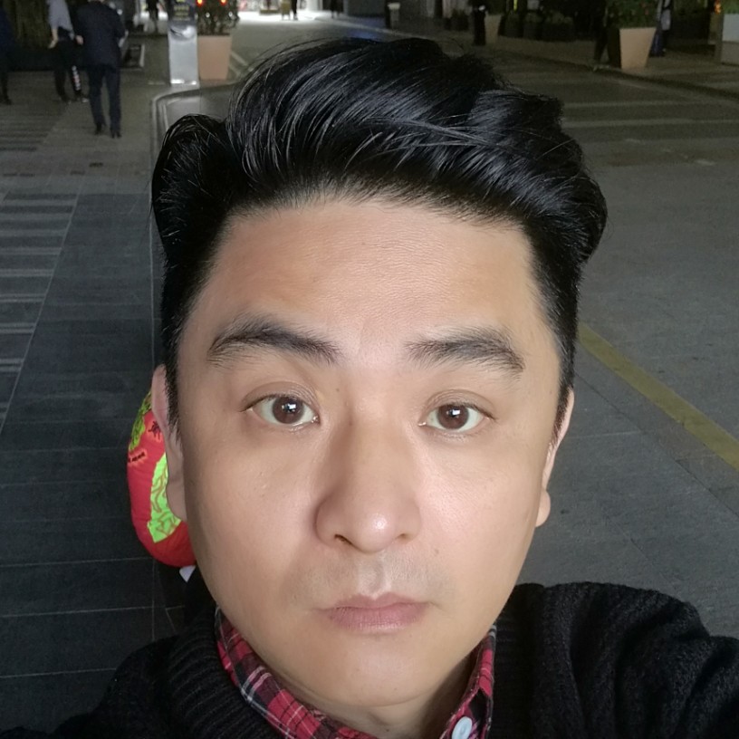 柔风裁翠柳的照片