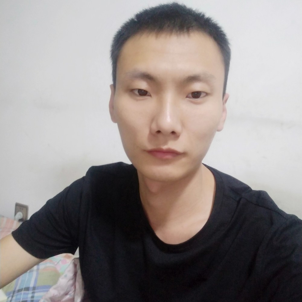 金鱼完美的照片