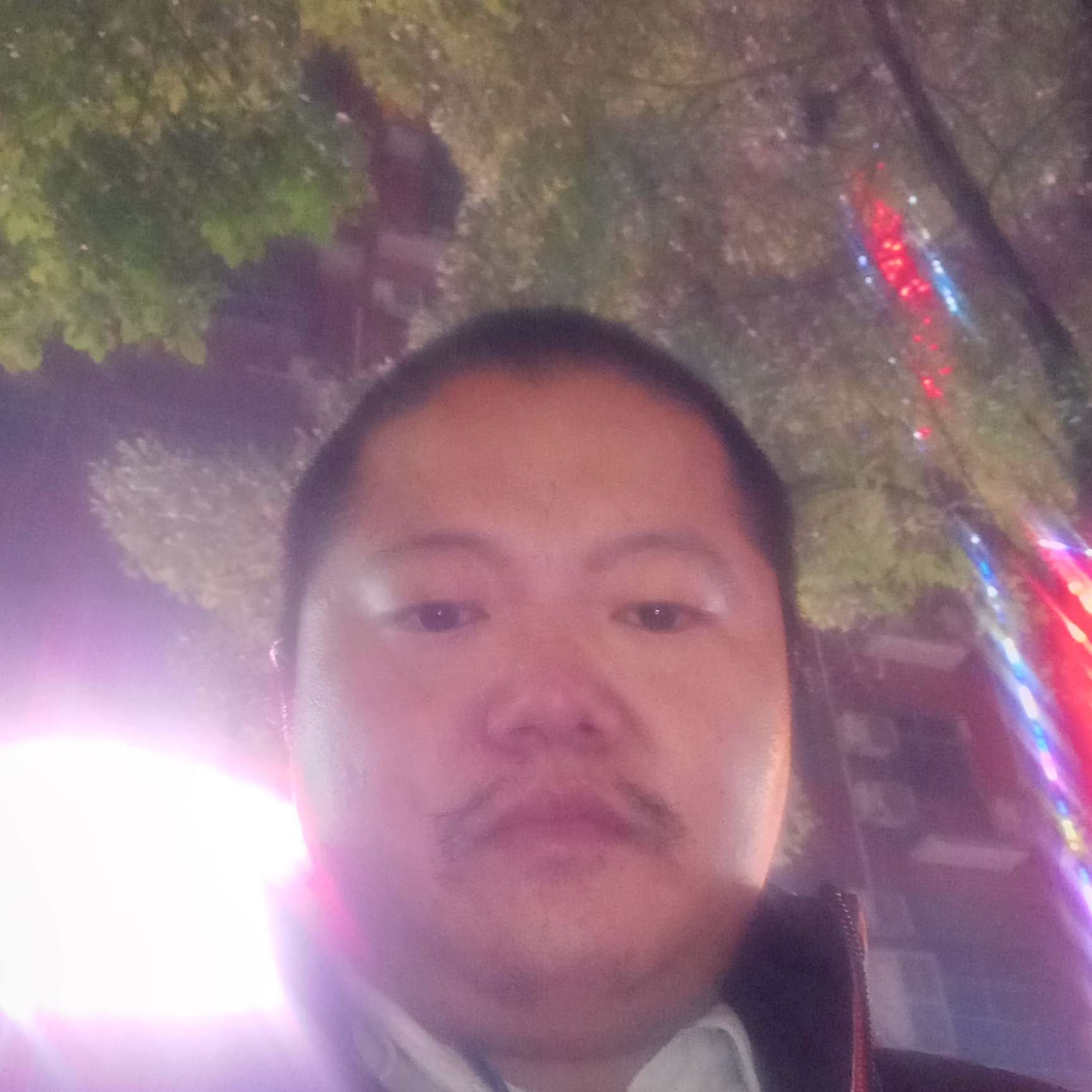 秋天愿華麗的照片