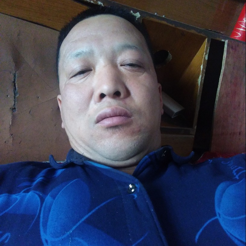 衬衫乐观的照片