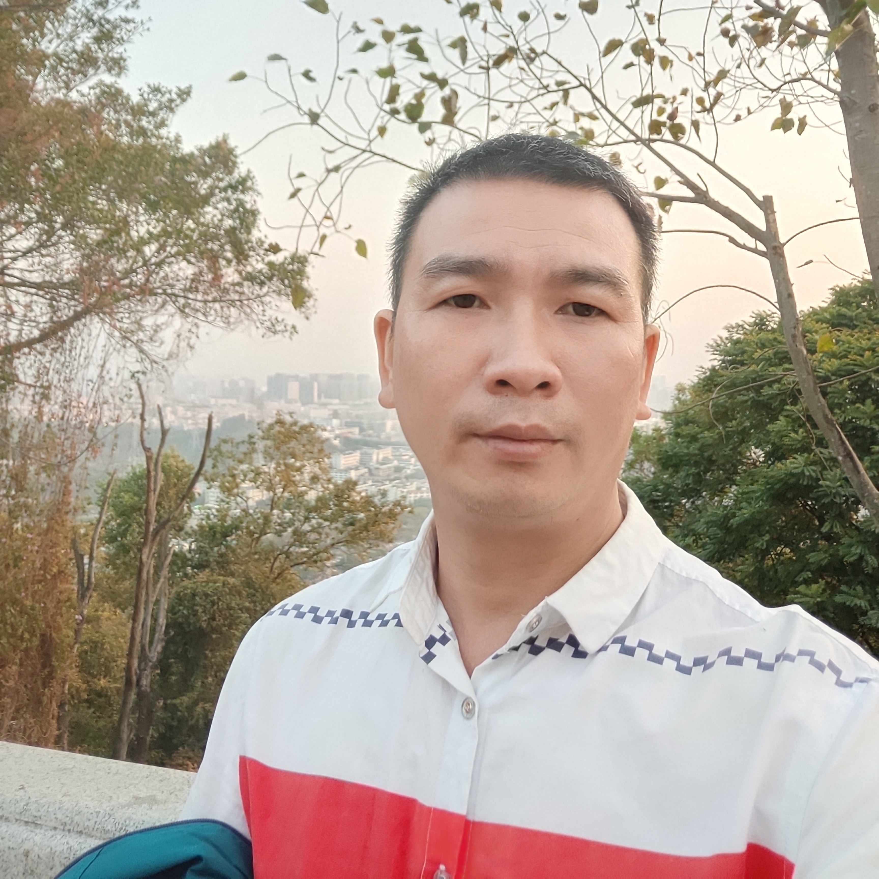 玫瑰打伶俐的照片