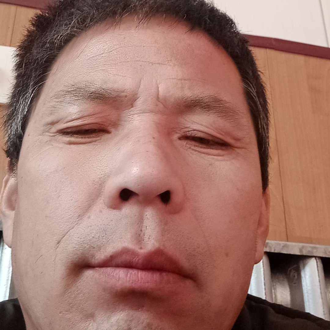 俏皮踢母鸡的照片