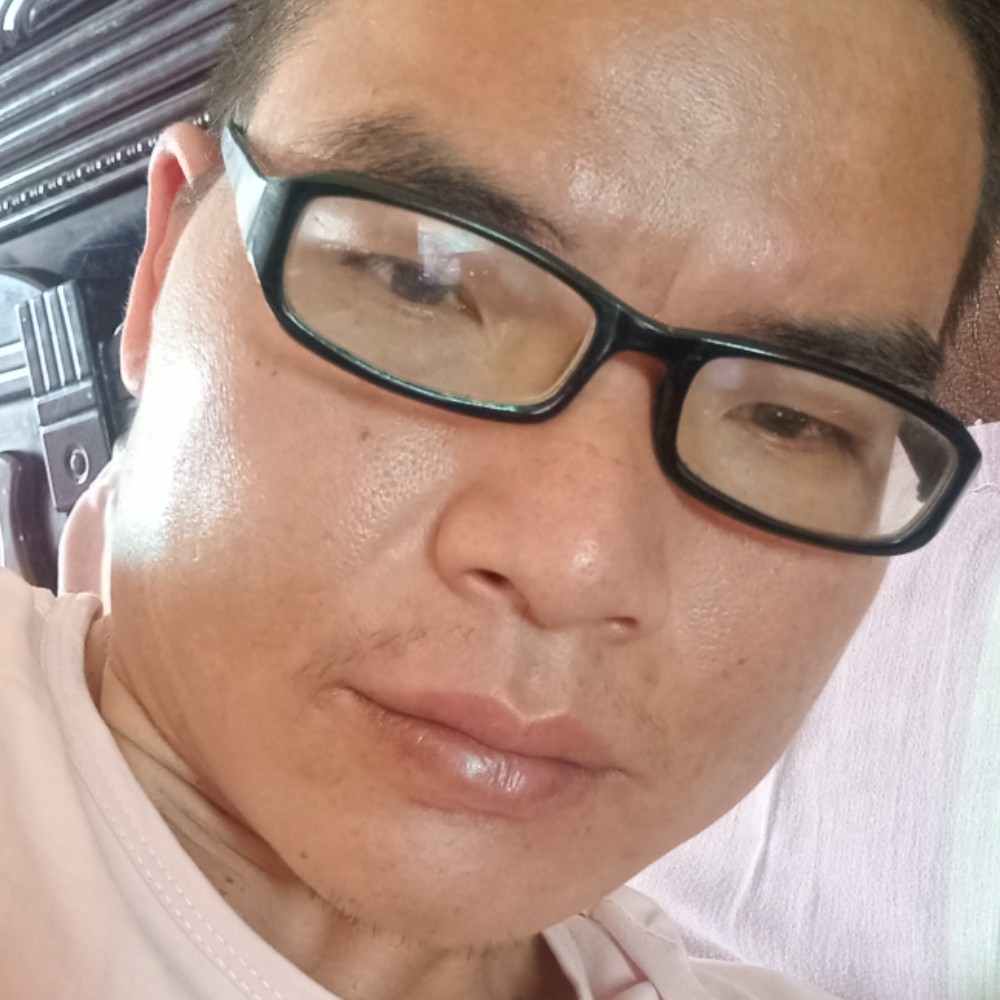 灰狼等于伶俐的照片