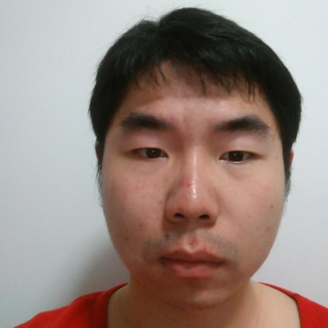 顺利金毛的照片