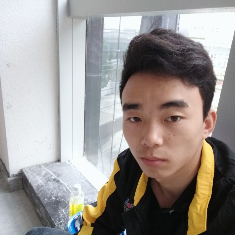 大爱杜宝的照片