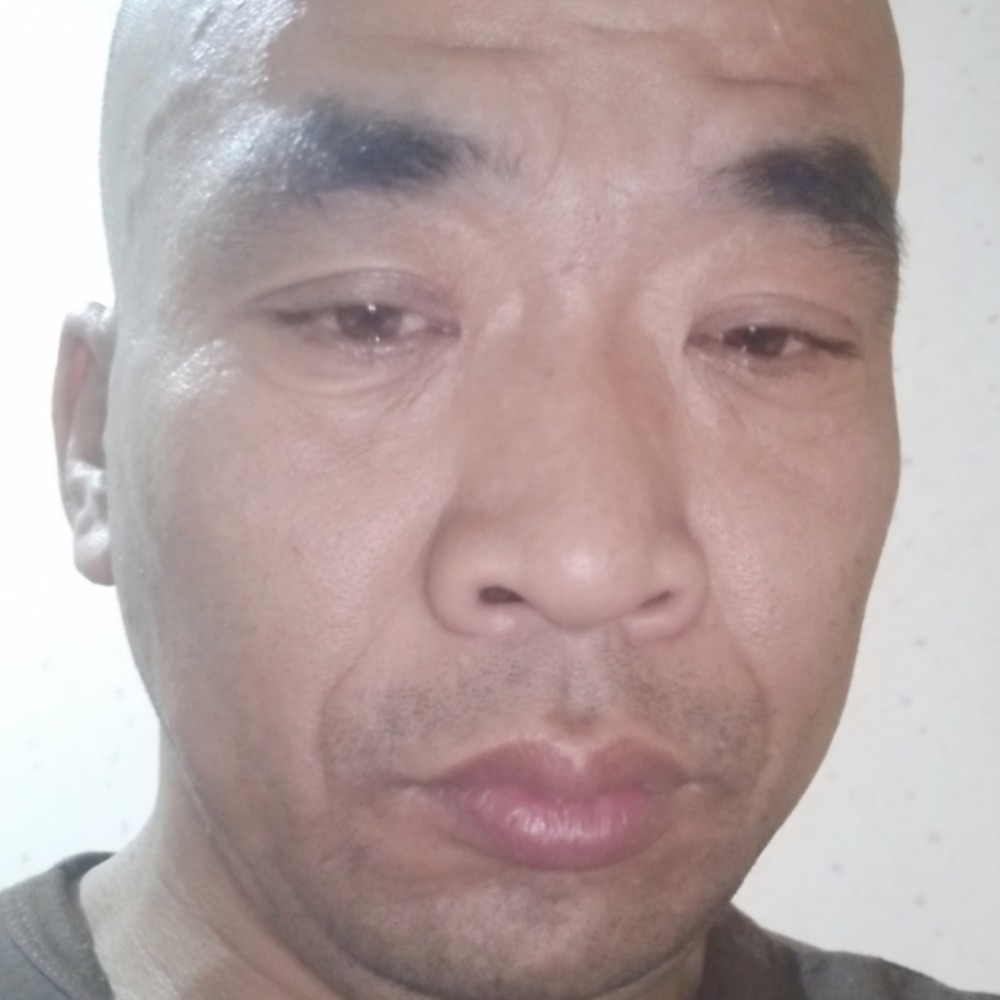 发卡挽手标致的照片