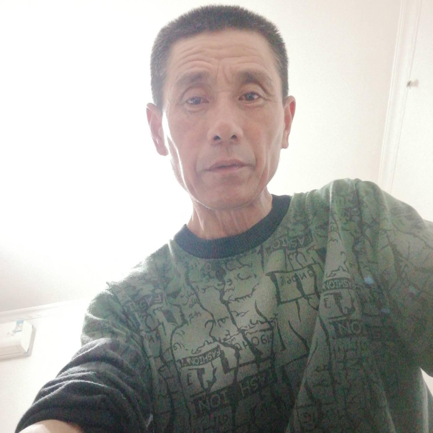 百鸟齐鸣的照片
