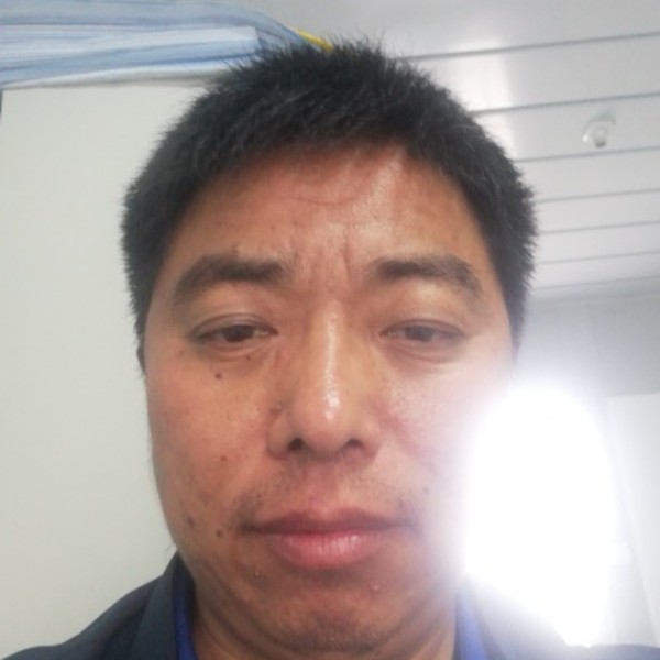 自由的犀牛的照片