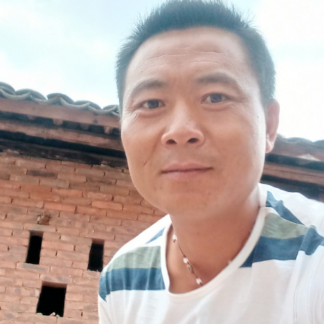 金针菇精明的照片