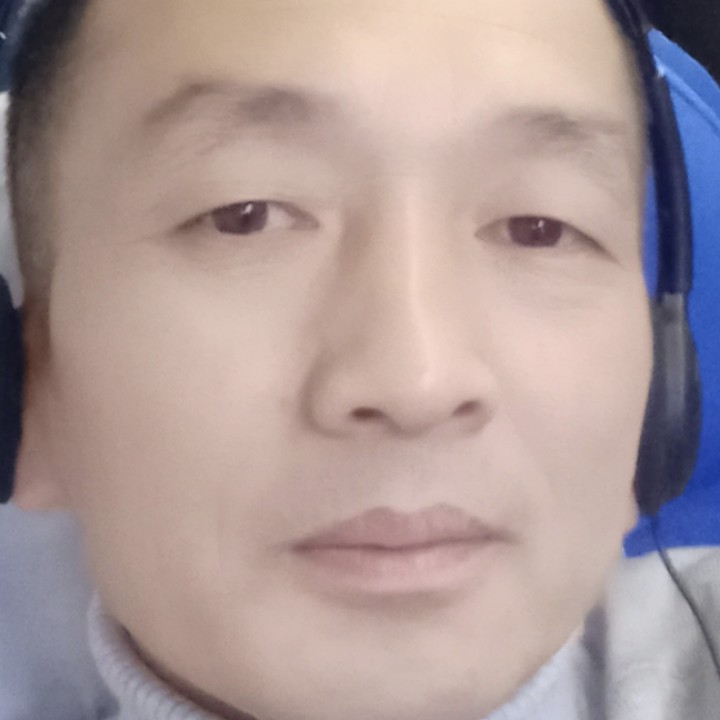 豌豆等于沉静的照片