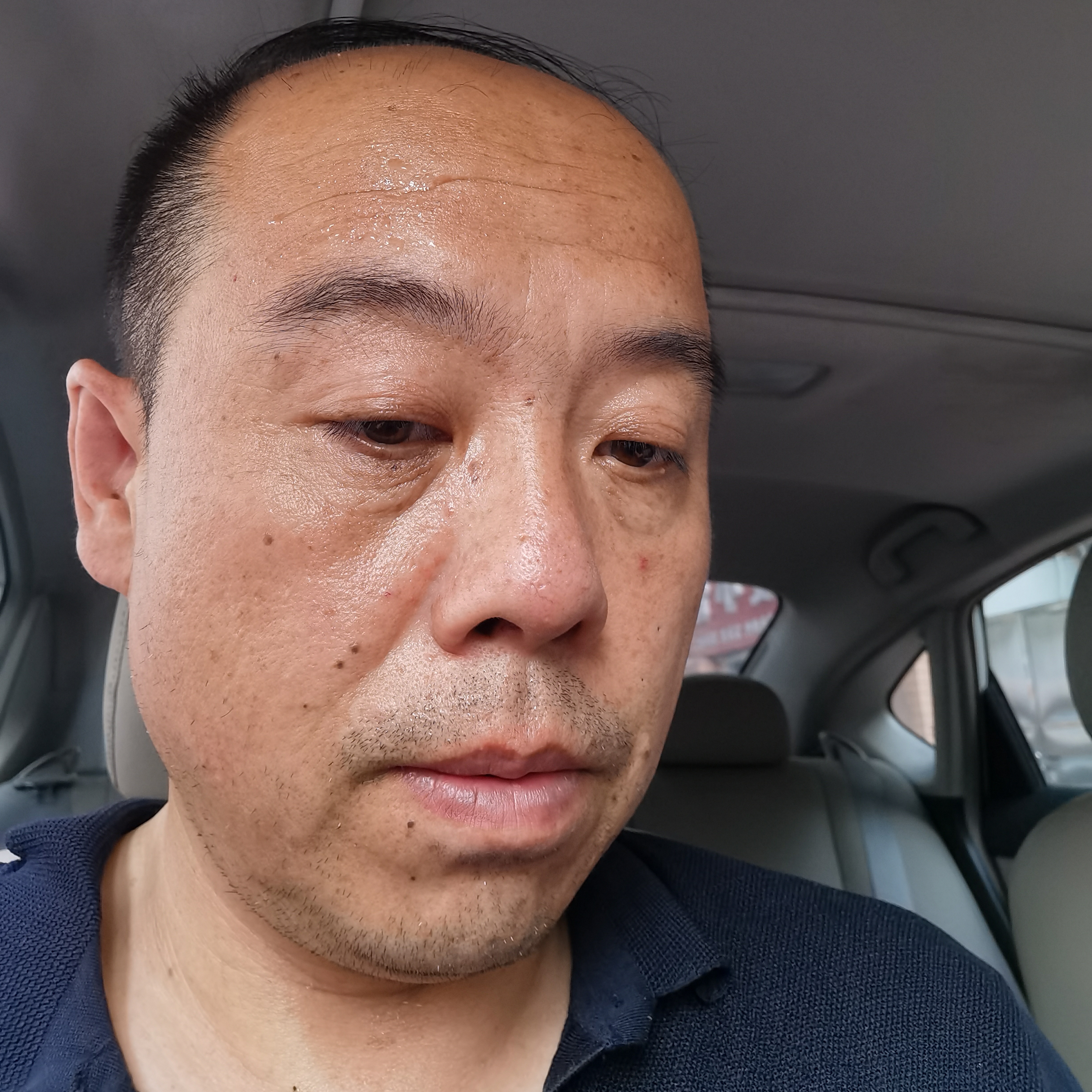 唯一的梅花树的照片