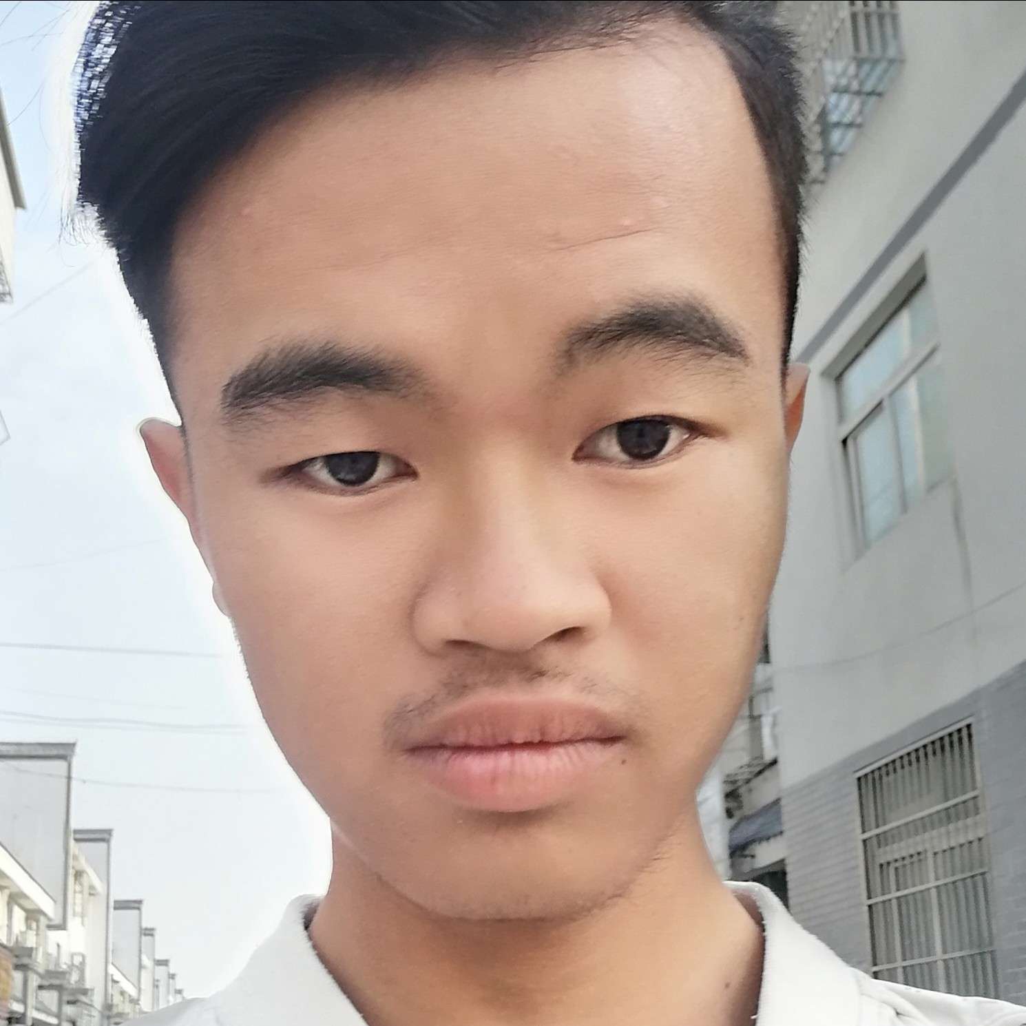 诚心回首乌龟的照片
