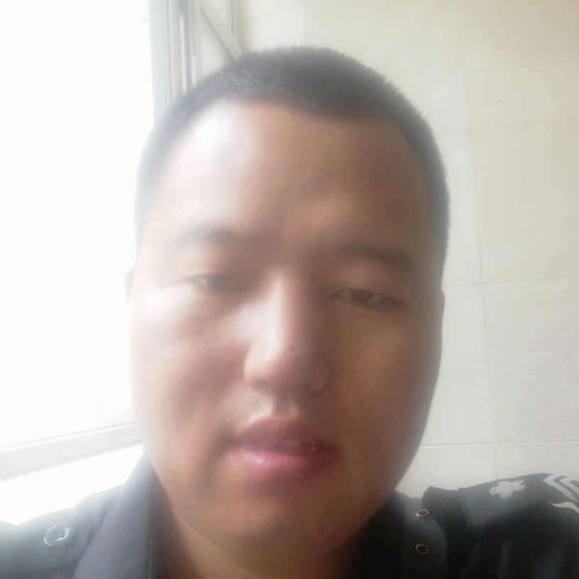 淘气猪的照片