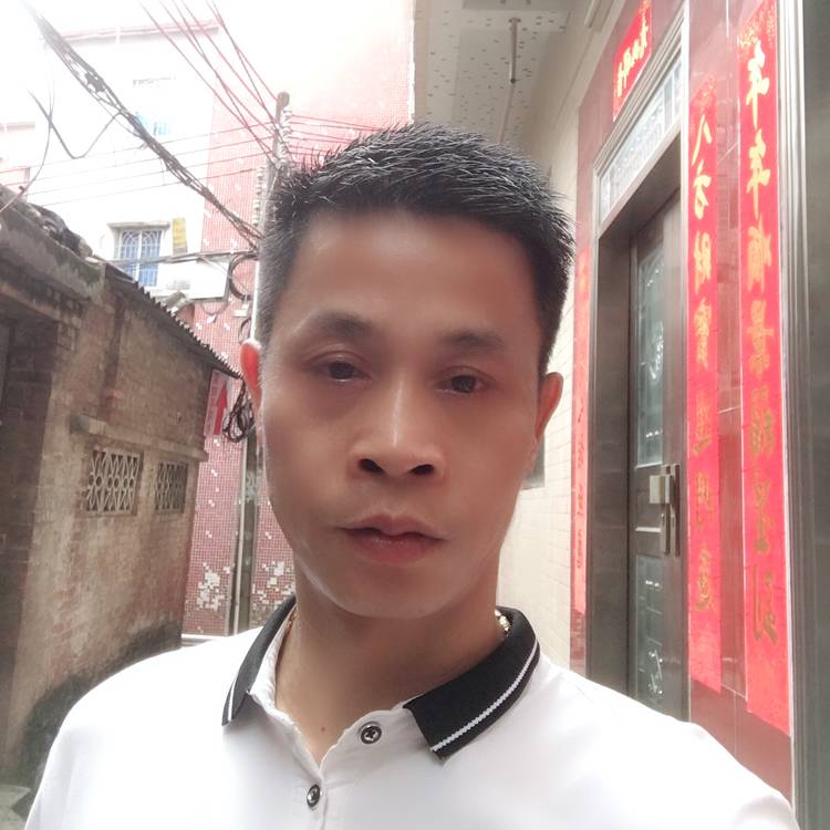 雄鹰的照片