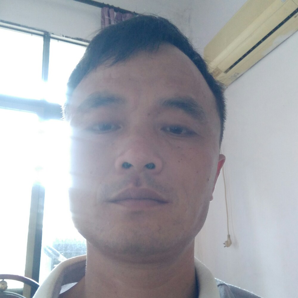红牛停止感性的照片