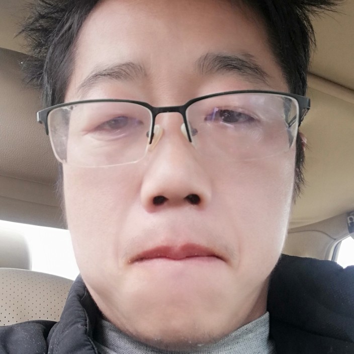 向日葵坚强的照片