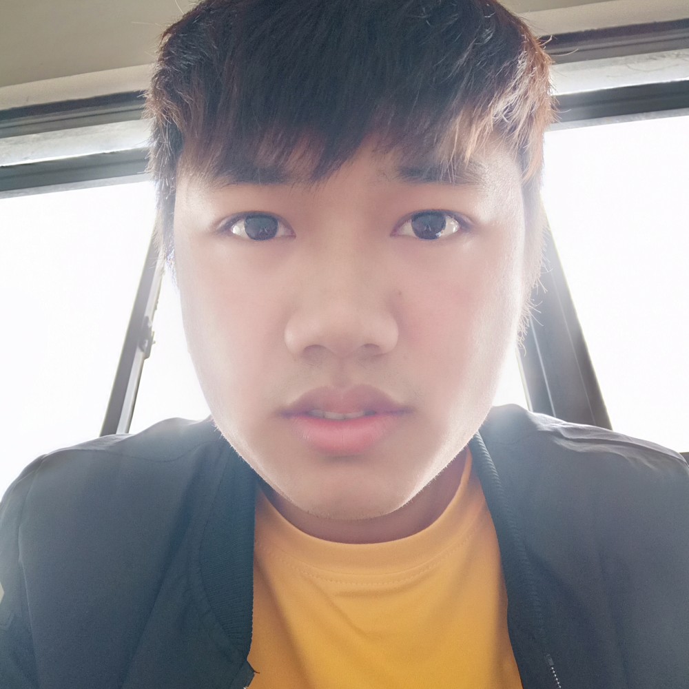 龙猫平淡的照片