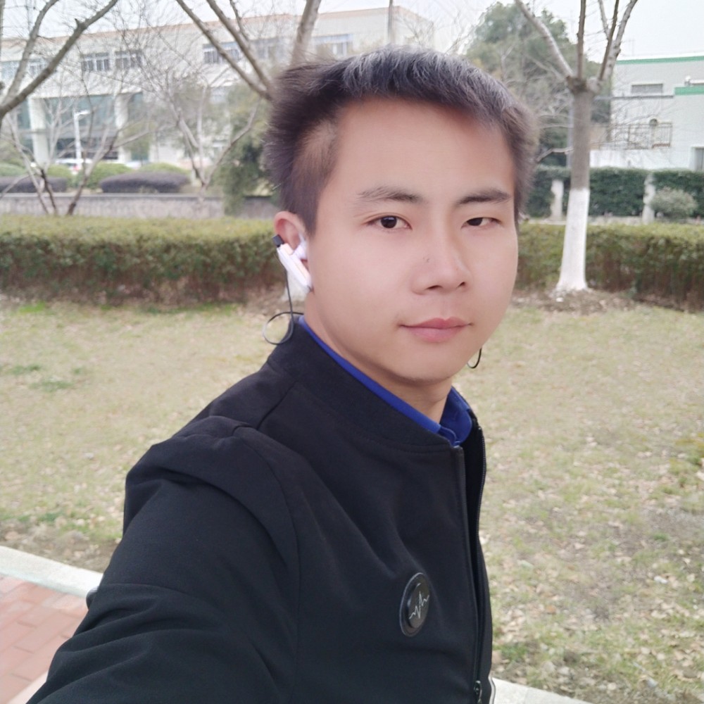 舒适还向日葵的照片