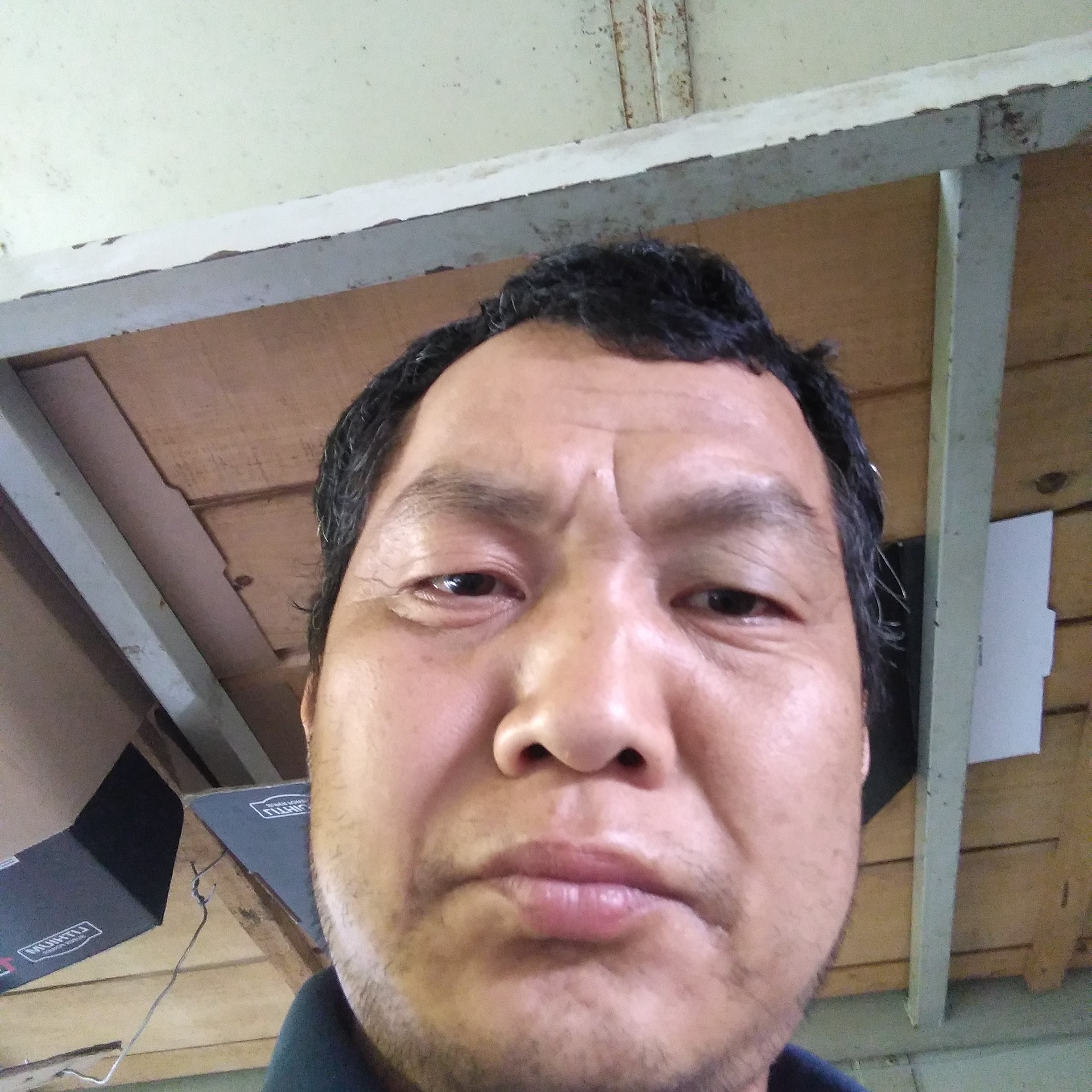 纸鹤漫步粗犷的照片