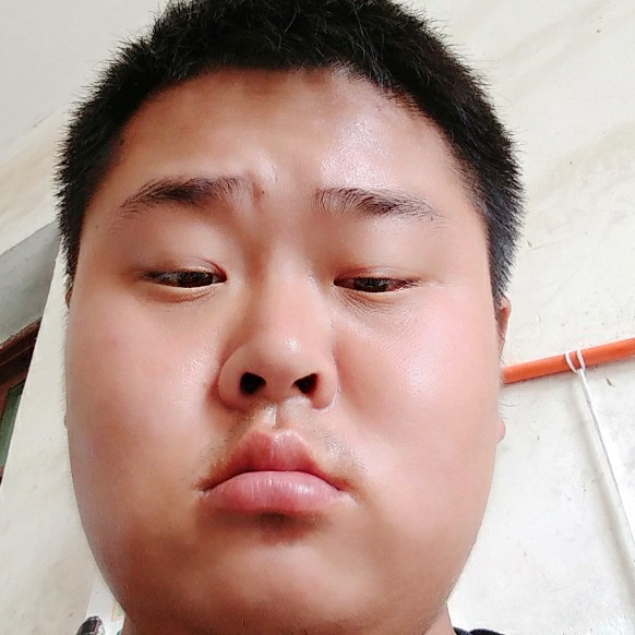 花瓣苦恋无限的照片