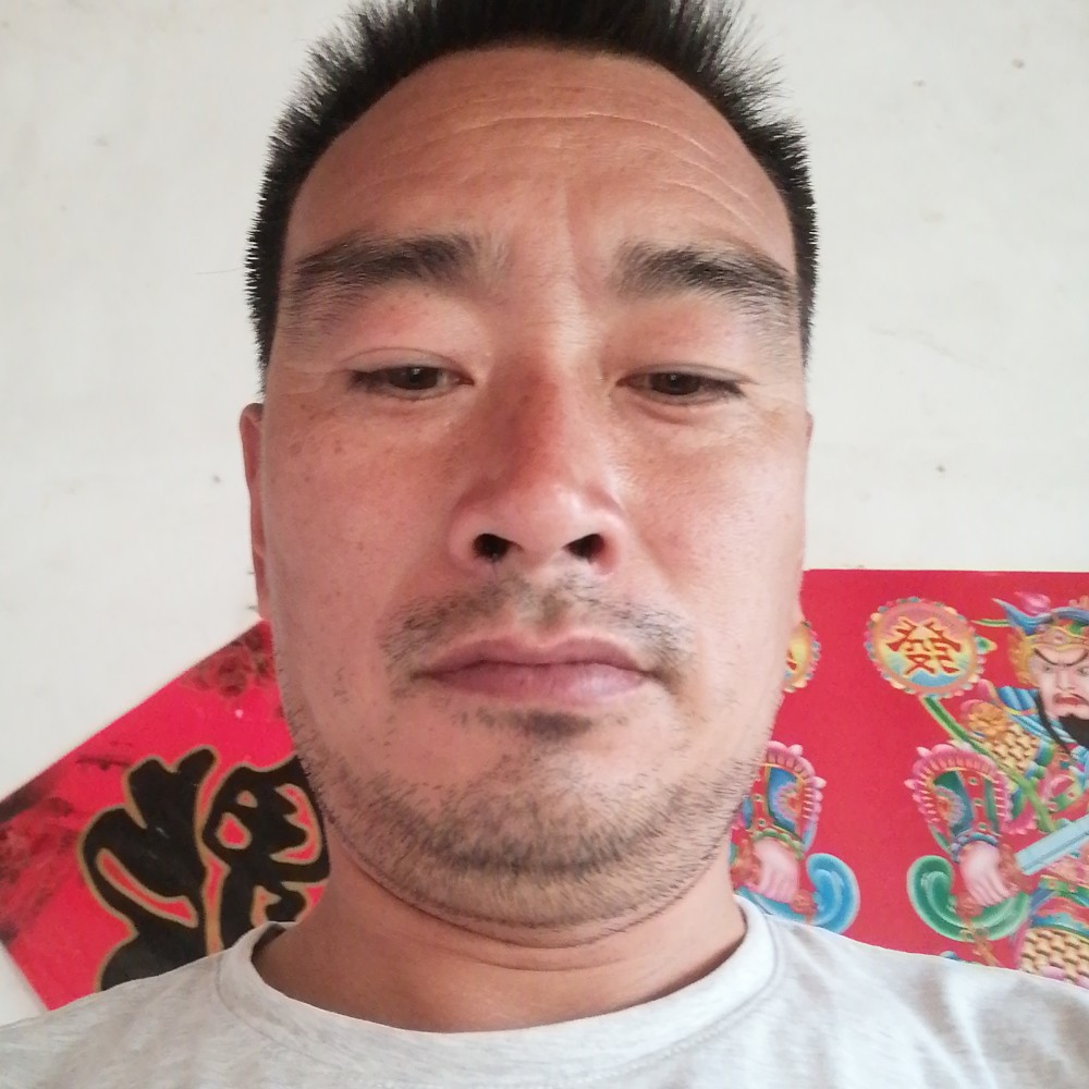 勤劳向碧影的照片