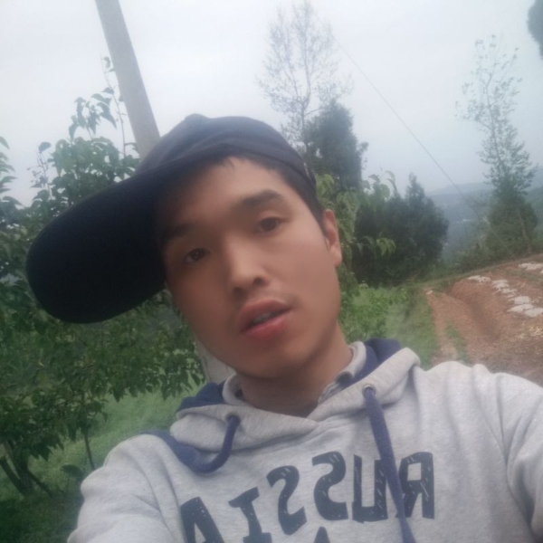 清风徐来来了的照片