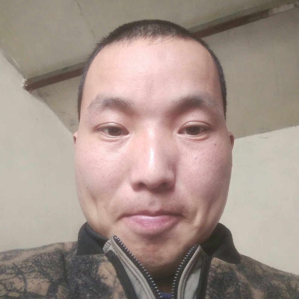 相ai的照片