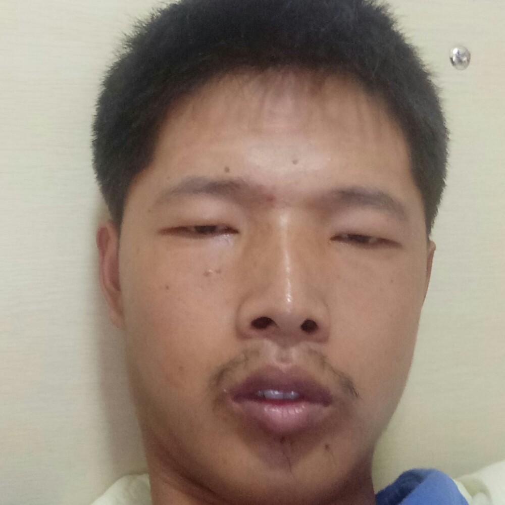 紫菜无辜的照片