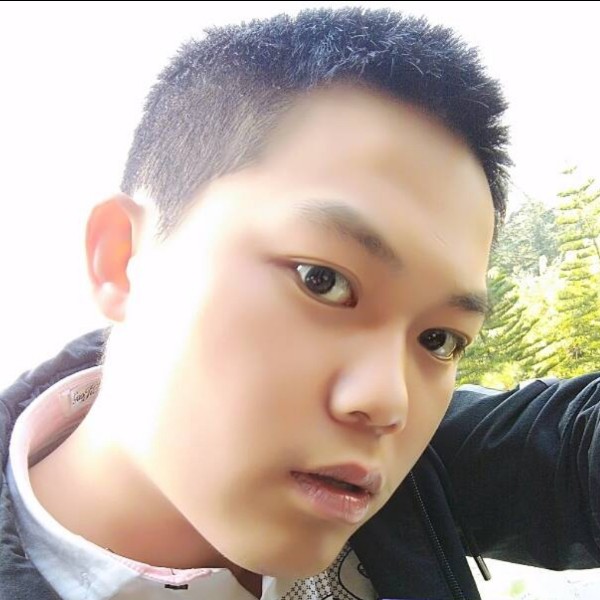 康乃馨深拥炙热的照片