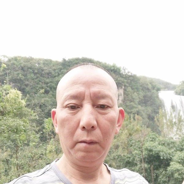 鸡迎健壮的照片