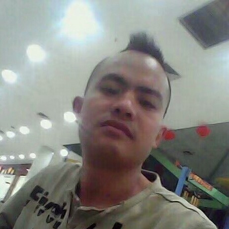 華麗说灯泡的照片