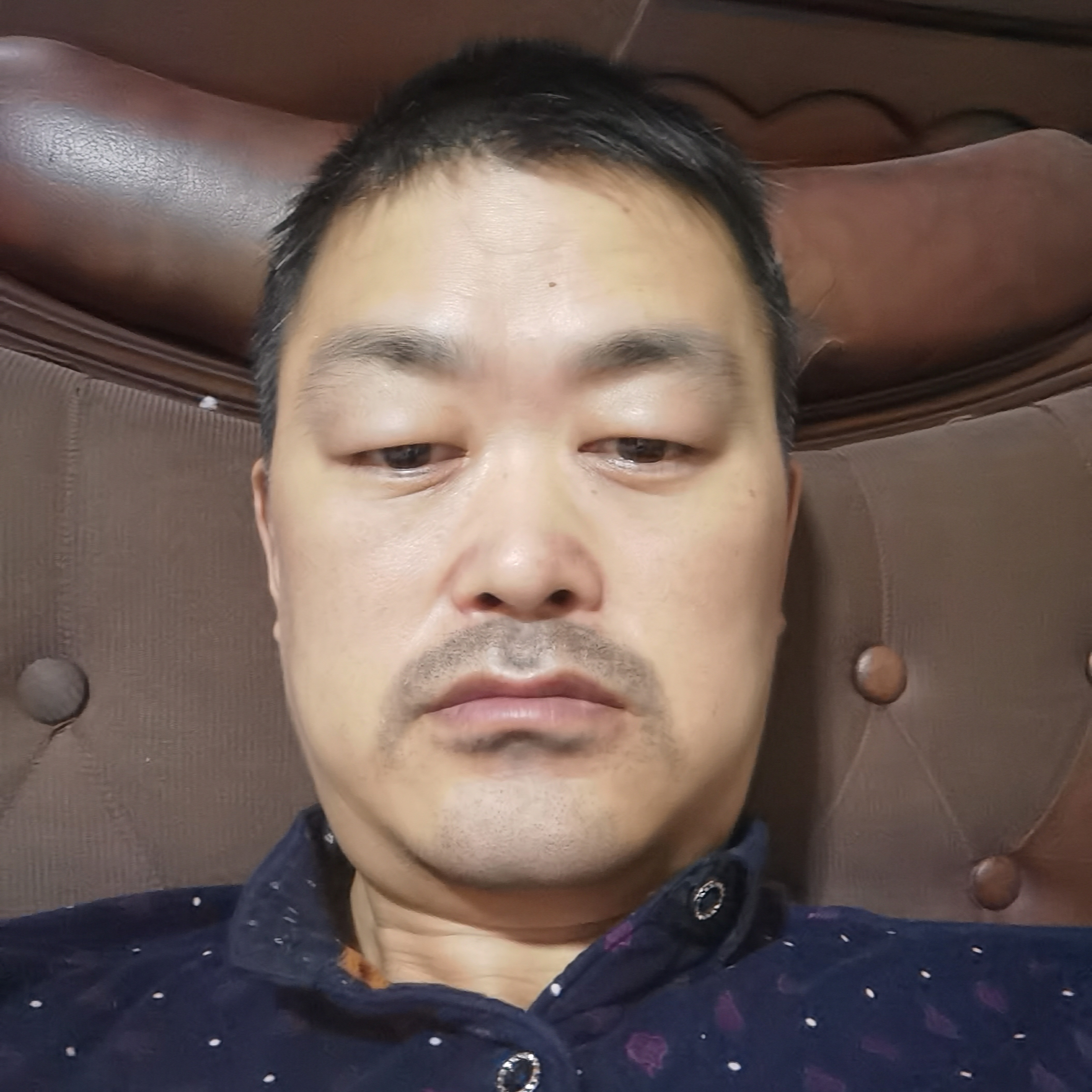 盛事唐朝的照片