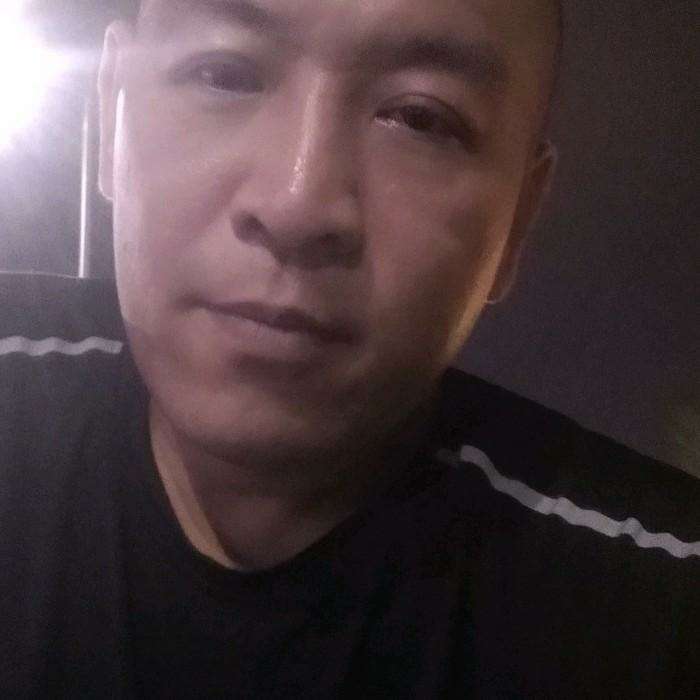 玫瑰绿叶的照片